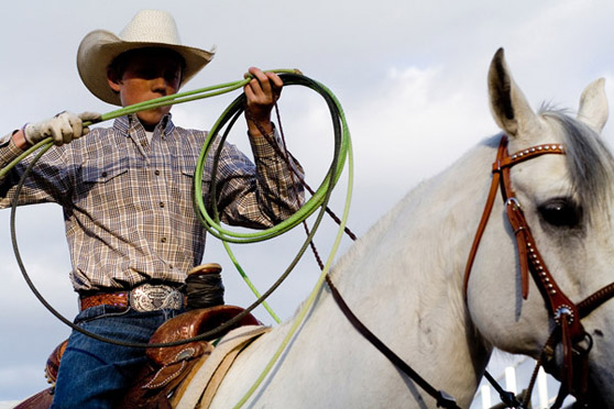 Rodeo1