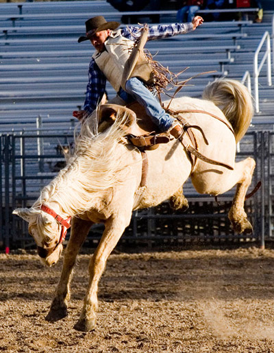 Rodeo3