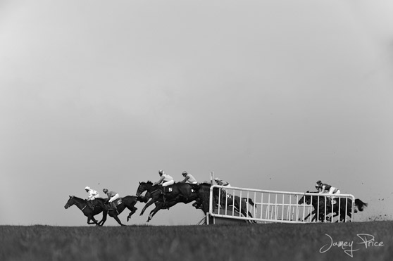 Steeplechase horse racing is one of the oldest organized sports in the world 